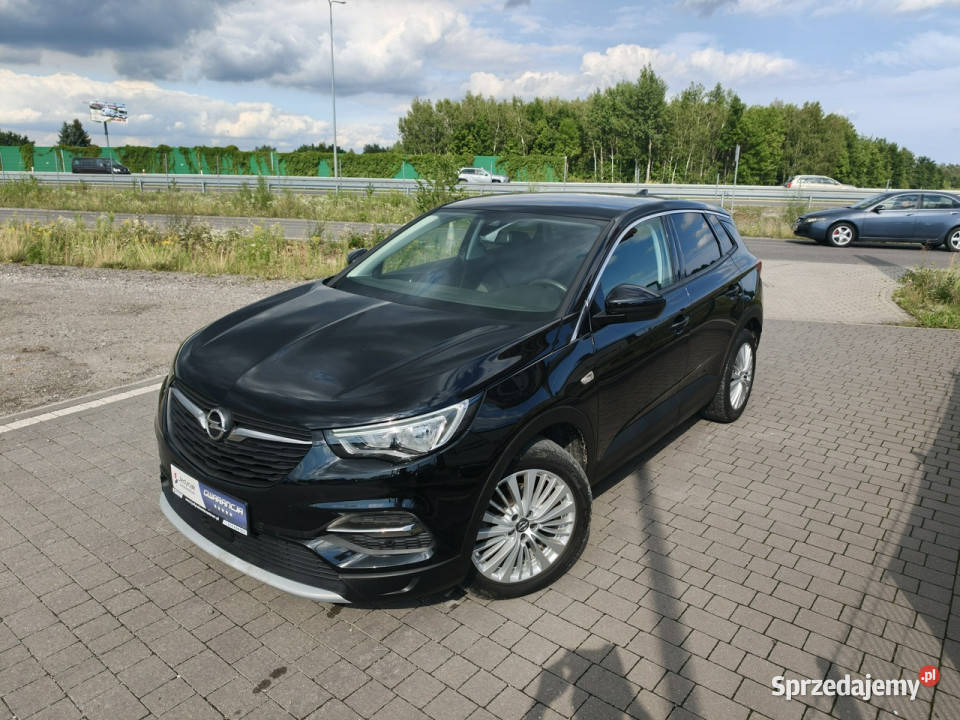 Opel Grandland X Lipówki