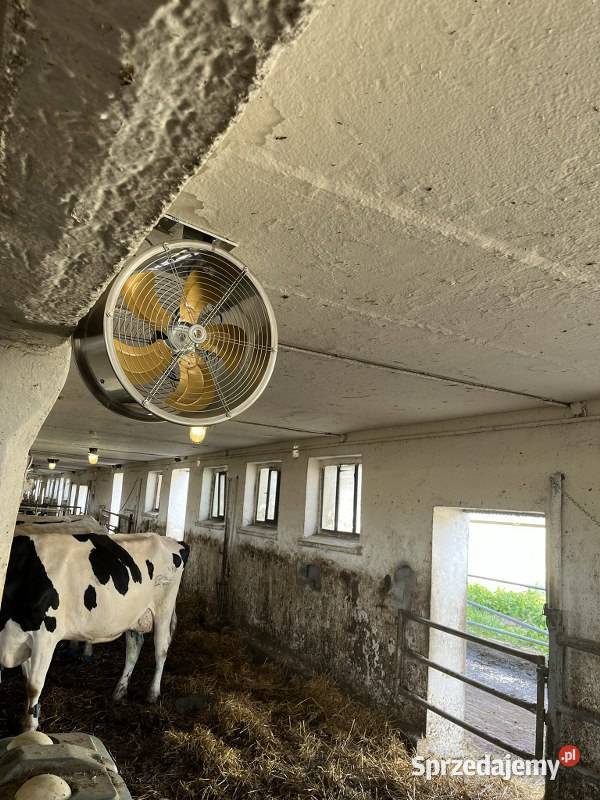 Wentylator TK500 do niskich obór bydła