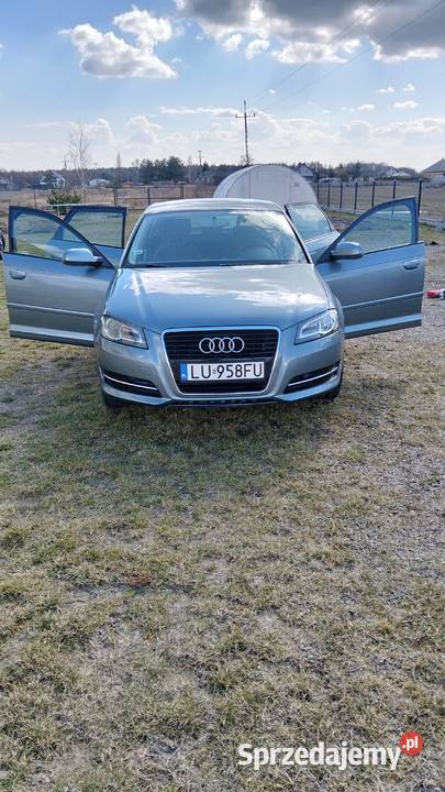 Audi A3 MPI 102 Tarło-Kolonia sprzedam