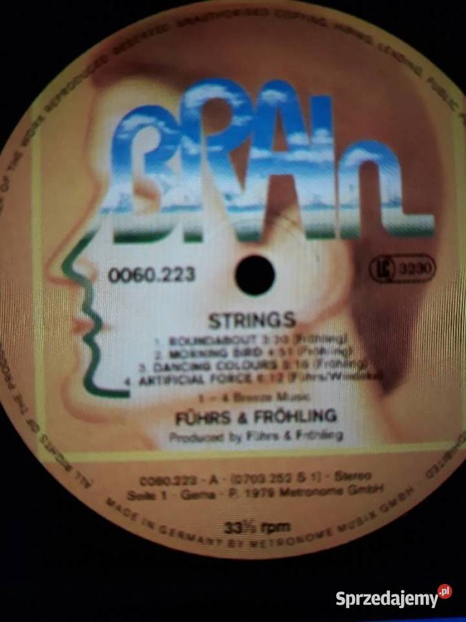 Białe kruki na czarnym winylu FUHRS FROHLING rock Rzeszów