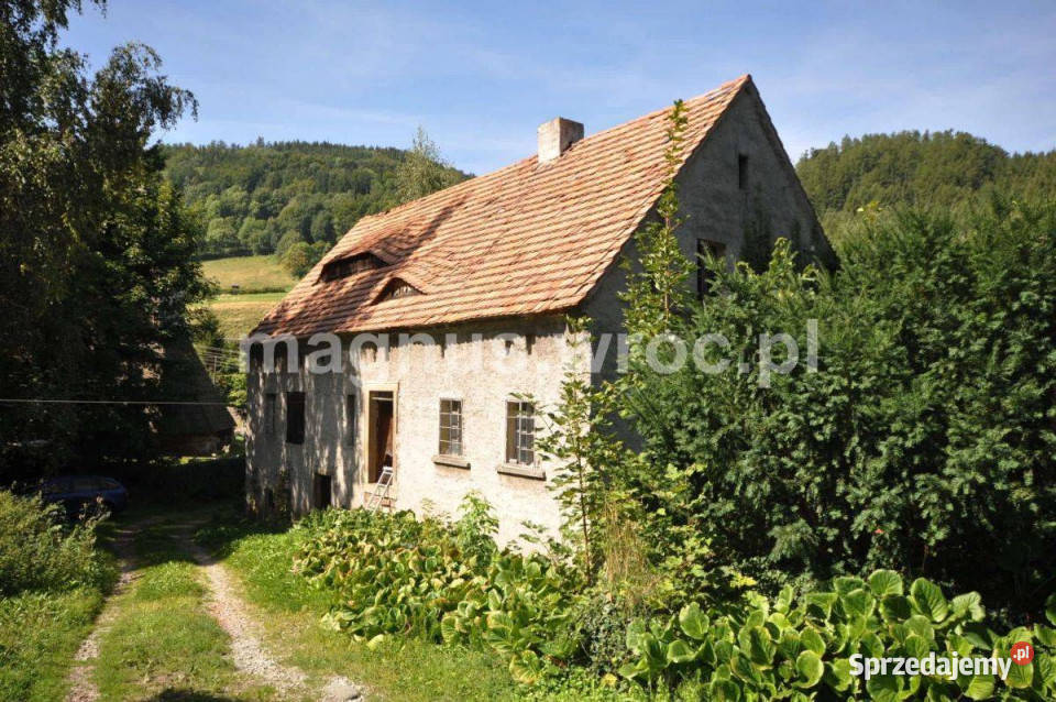 Na sprzedaż działka siedliskowa w Grzmiącej ze 77zł/m2 dolnośląskie Grzmiąca sprzedam