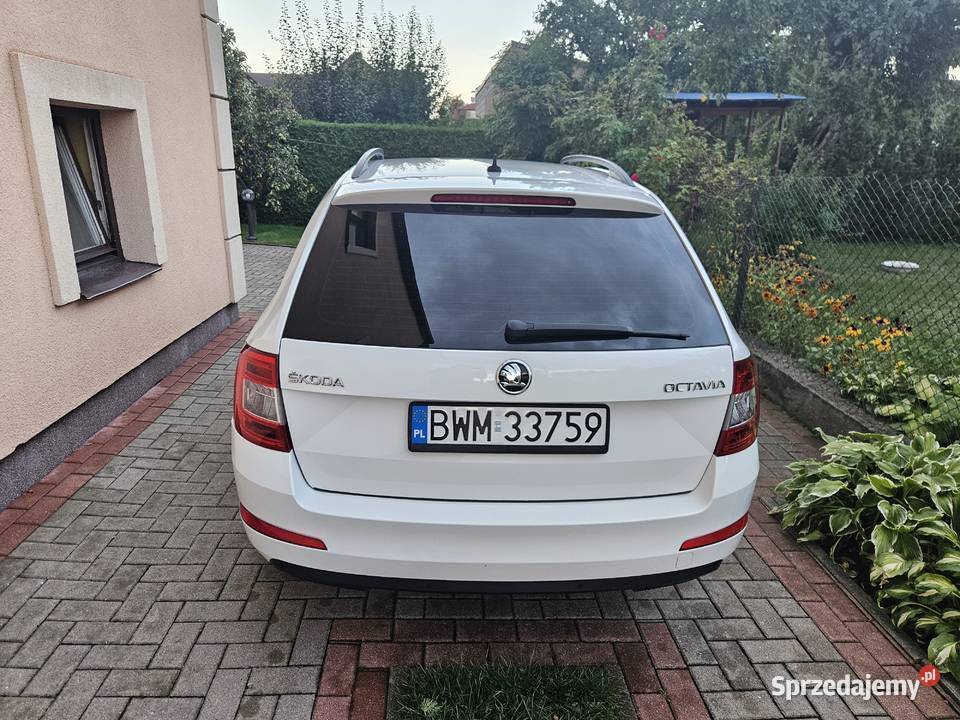 Skoda Octavia 2 18 ben 2016r Rok produkcji 2016 Wysokie Mazowieckie