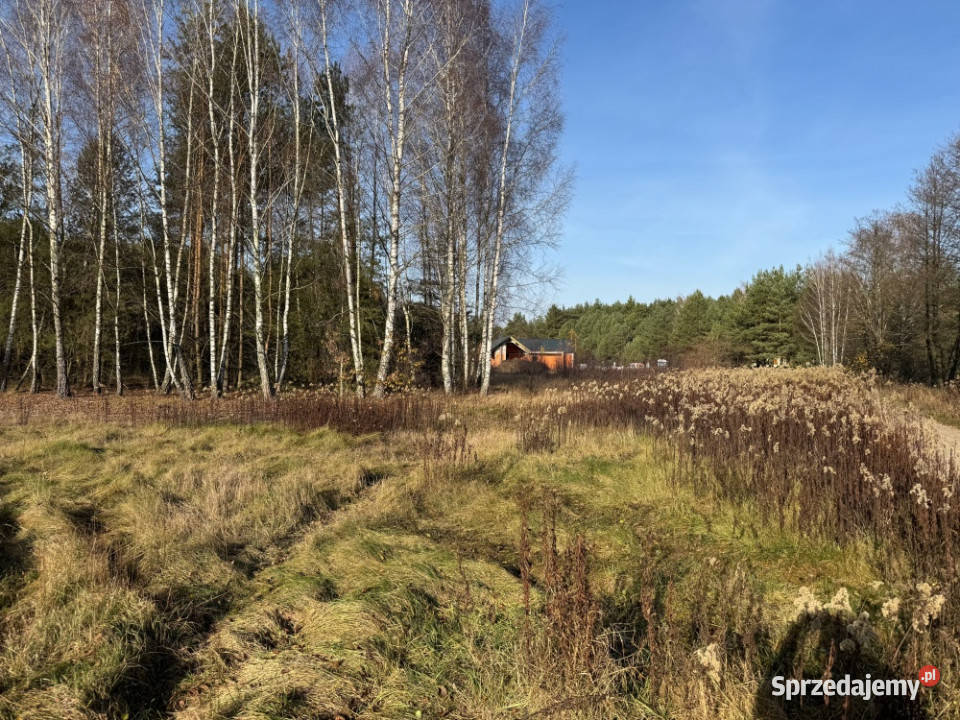 Działka 6300 m2 możliwość budowy dwóch domów las Zabrodzie