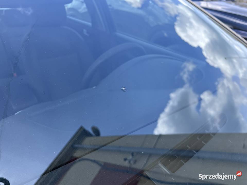 Syndyk sprzeda auto Ford Focus pomorskie Gdynia