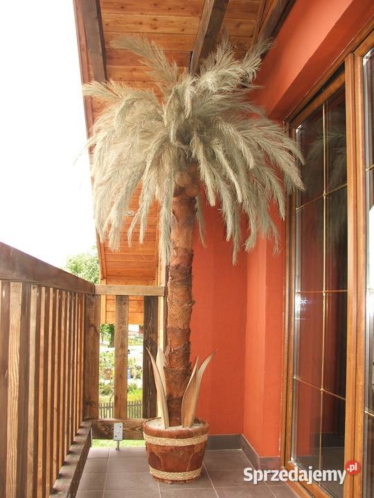 Palma sztuczna Sztuczne drzewka 25m Wąbrzeźno