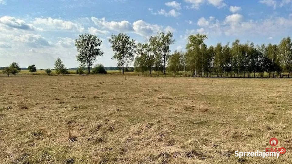 Działka Rafałówka 1425 metrów asfalt