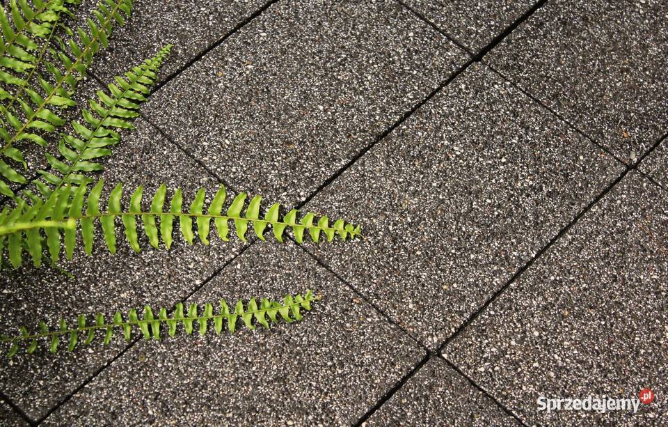 Kostka betonowa Visio kombiformat Świdnica