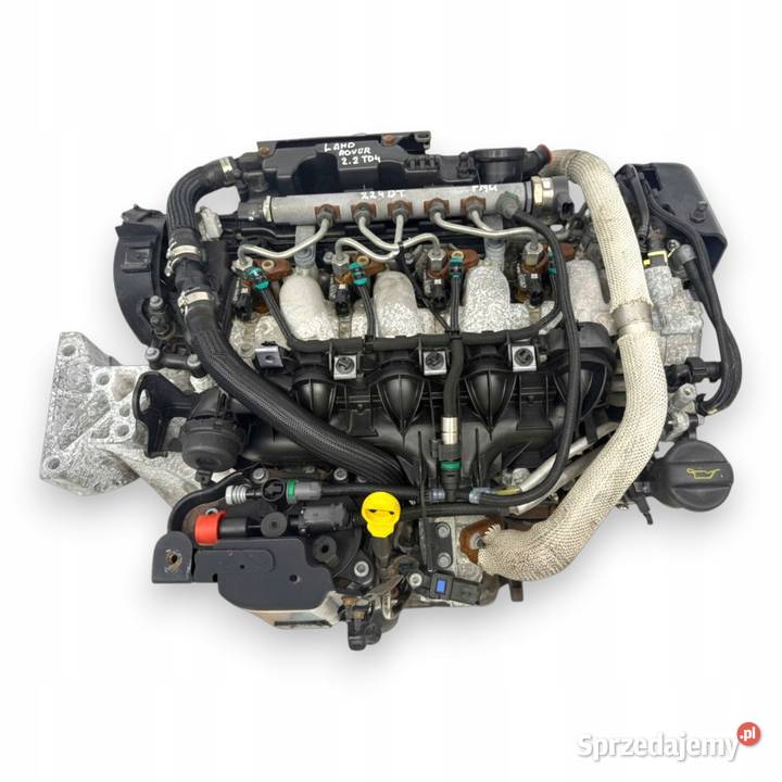 SILNIK 224DT Land Rover Freelander II L359 22 D Motoryzacja Chełm