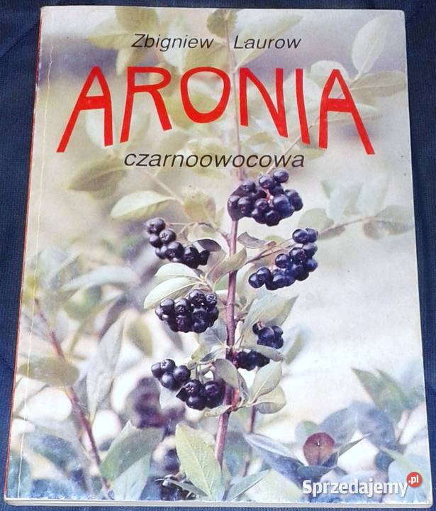 Aronia czarnoowocowa Zbigniew Laurow Chełm