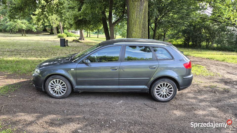 Audi a3 8p Oława
