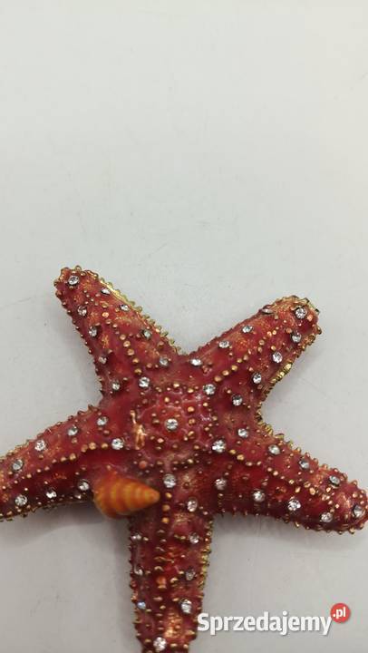 Puzderko metalowe na drobiazgi rozgwiazda