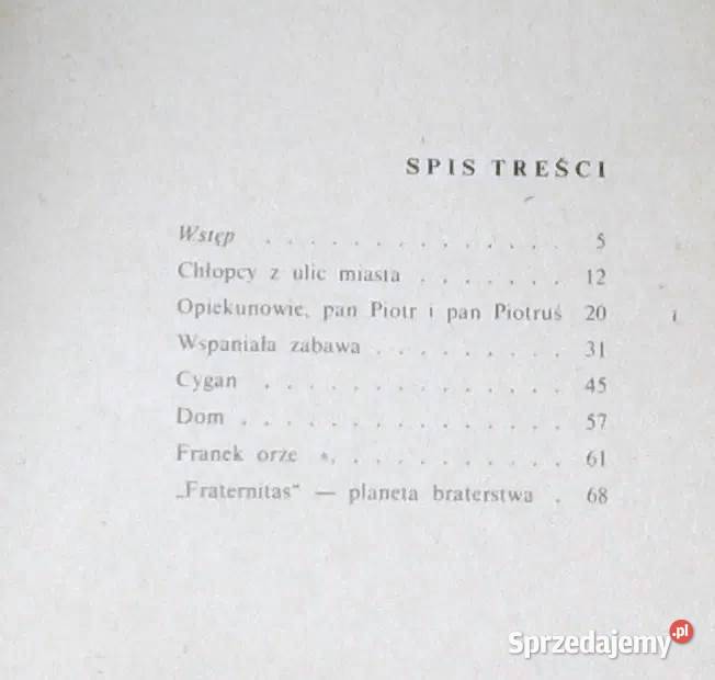 Chłopcy z ulic miasta Halina Górska Chełm sprzedam