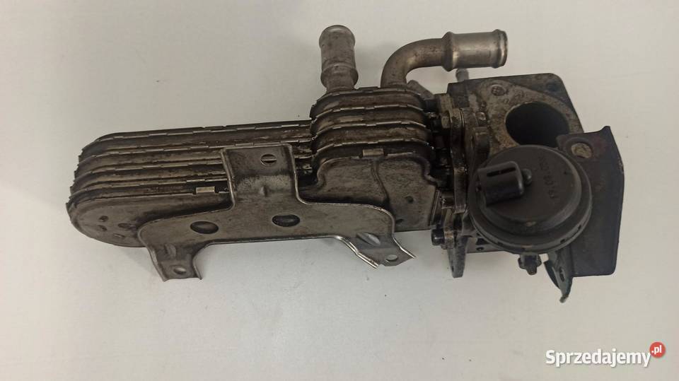CHŁODNICZKA EGR VW 038131513AD dolnośląskie