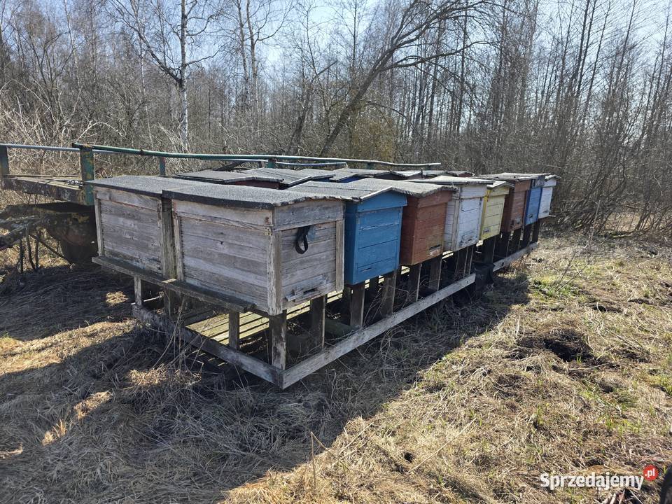 Wóz pasieczny Pszczelarstwo Wydminy
