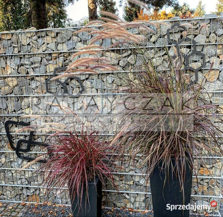 Gabiony na wymiar producent kosze gabionowe Przęsła mazowieckie Płock sprzedam