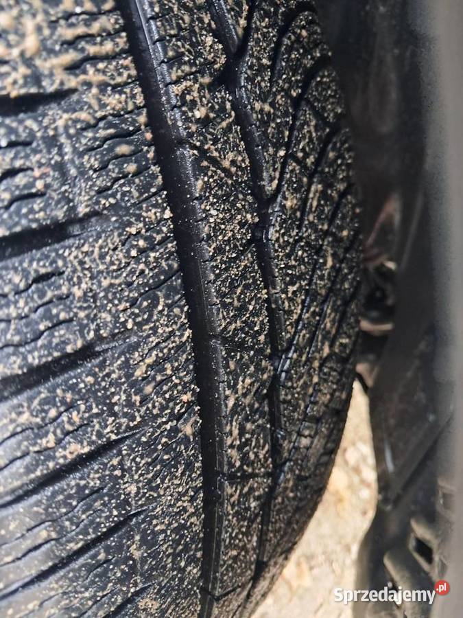 Michelin Pilot Alpin PA4 24545 R19 245 wielkopolskie Poznań