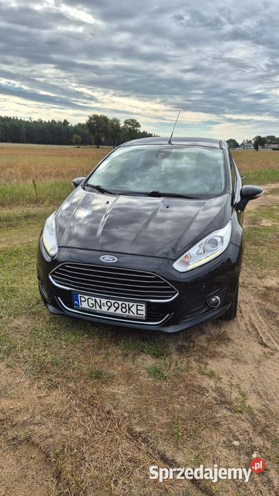 Ford Fiesta Mk7 2017 r bogata wersja Titanium wielkopolskie Witkowo