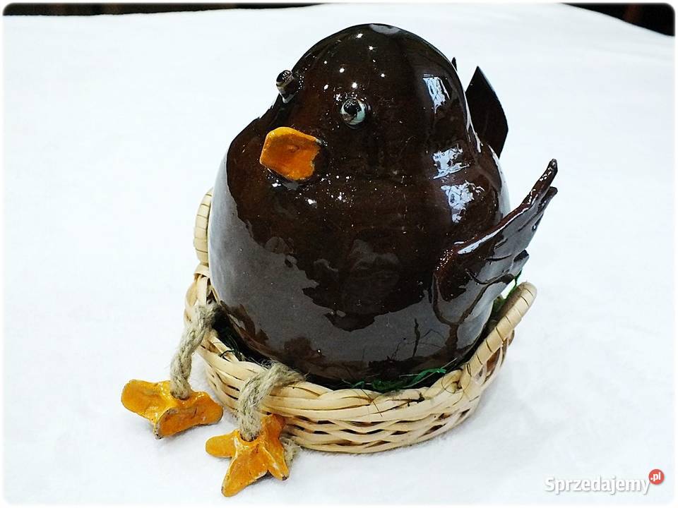 Duże grube ptaszysko Boczunio w gnieździe szuka Żary