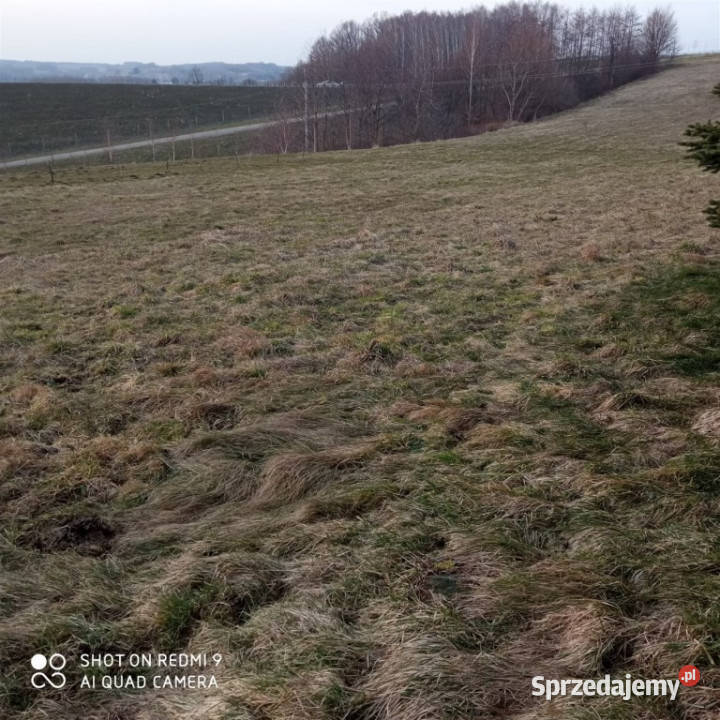 Rzeszów Słoneczny Stok działka 962 ar Sprzedam