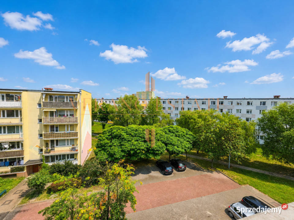 Duży balkon Zieleń Świetny układ Liczba pokoi 2 Skierniewice