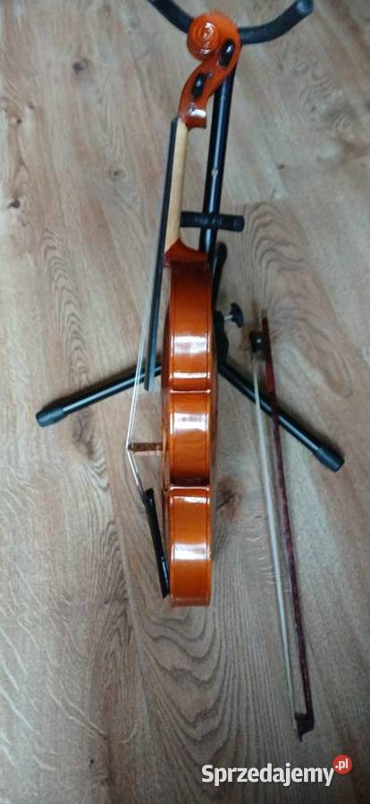 State skrzypce skrzypce