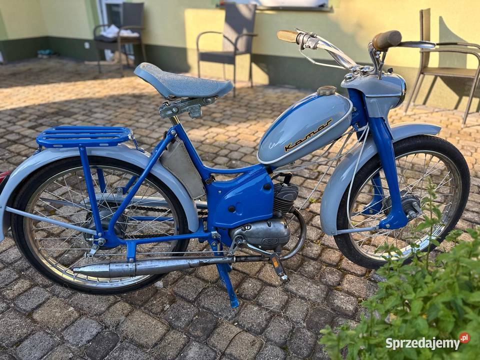 Komar sztywniak Rzeszów