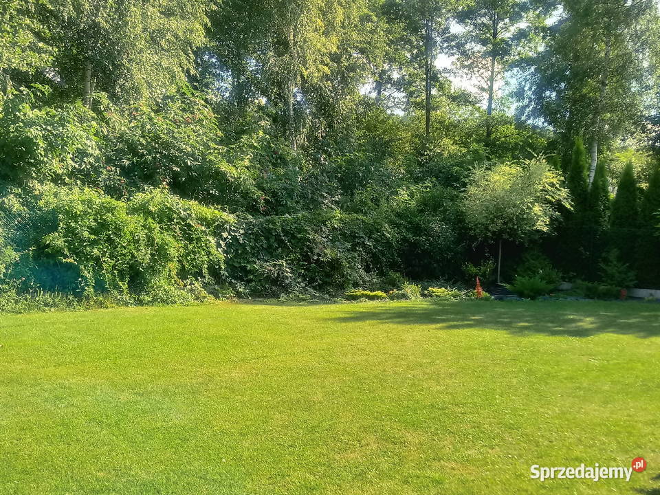 nowy bezkosztowy mały dom Brzozówka