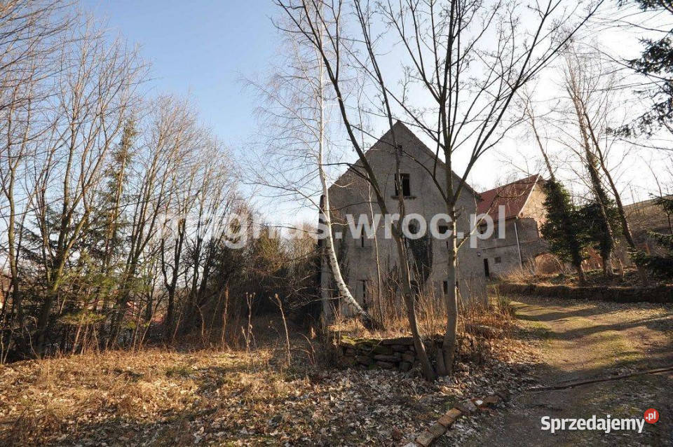 Na sprzedaż działka siedliskowa w Grzmiącej ze 5400m2 Grzmiąca sprzedam