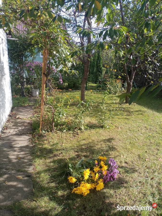 Sprzedam działkę ROD Zakole Wisły Sprzedaż Grunty i działki Kraków