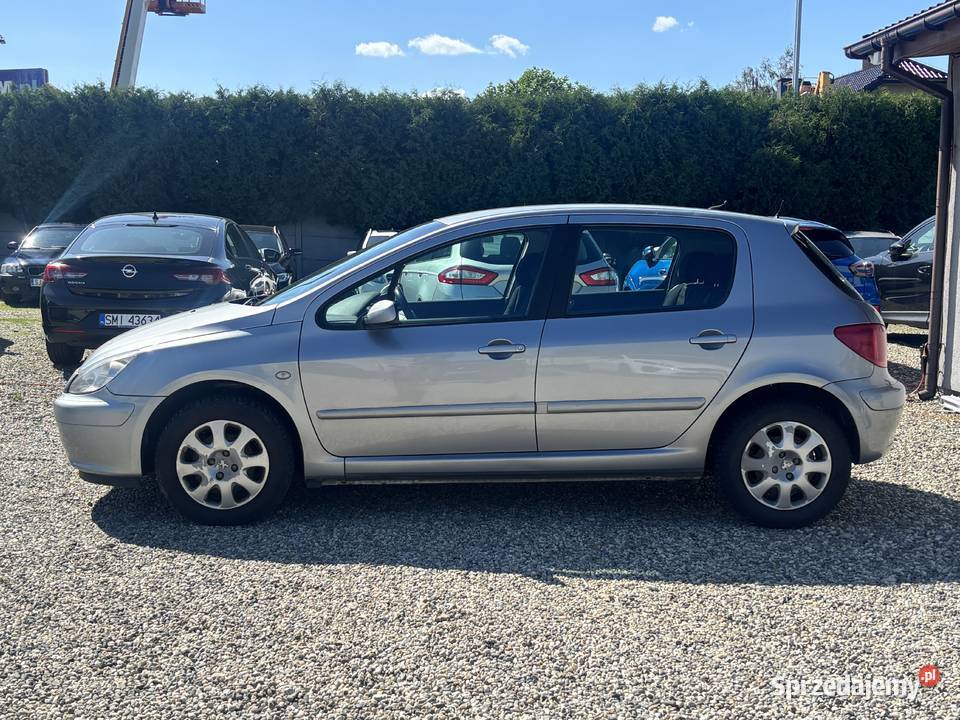 Peugeot 307 srebrny Paniówki