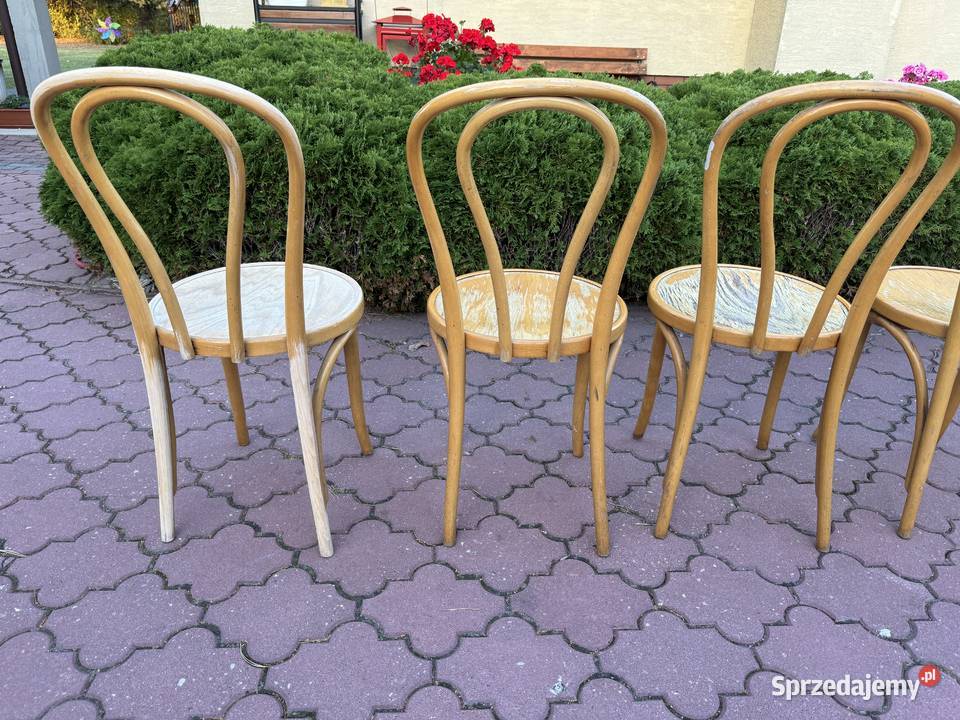 Krzesła gięte 5 Fameg do renowacji art deco mazowieckie Sulbiny