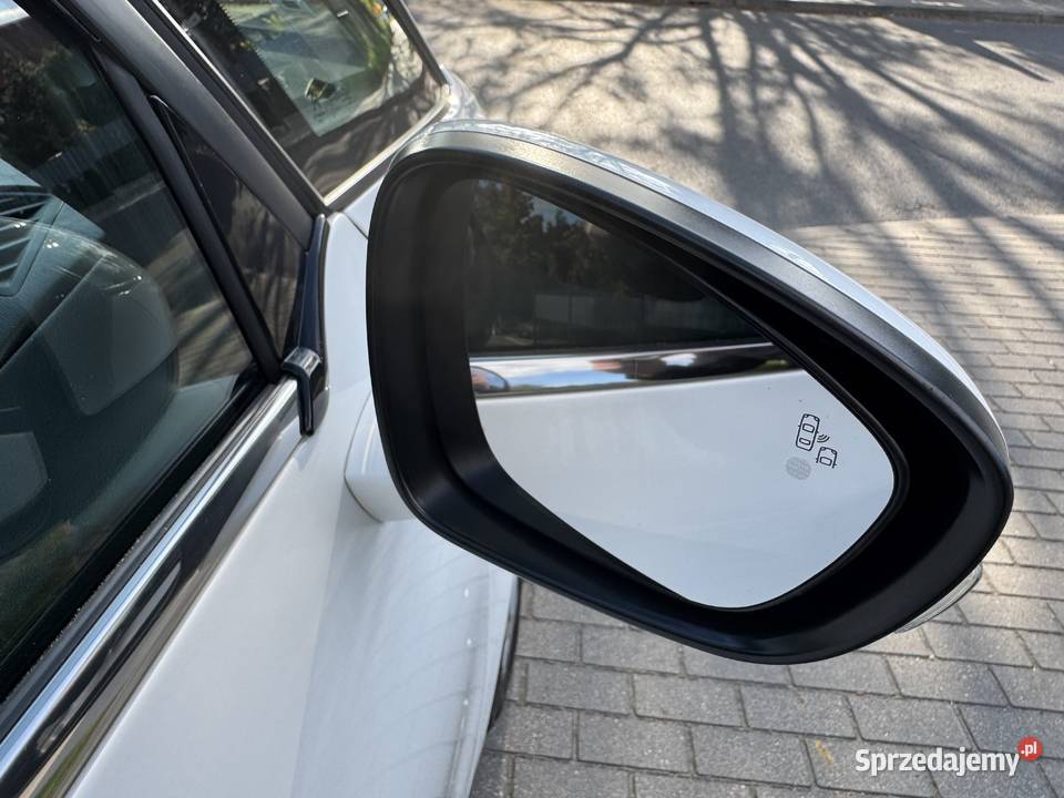 Citroen C4 Picasso 20 HDI Zarejestrowany Bogata ogranicznik prędkości Chodzież