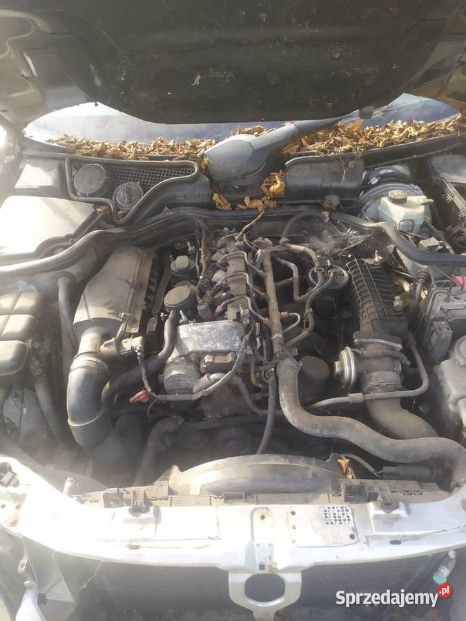 Mercedes W210 22cdi na cześći Samochody na części