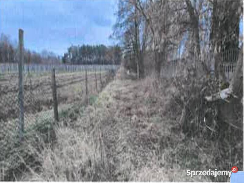 Syndyk masy upadłości sprzeda działkę Szczęsna 27zł/m2