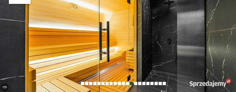 INSPIRE Katowice Dolina Trzech Stawów internet sprzedam