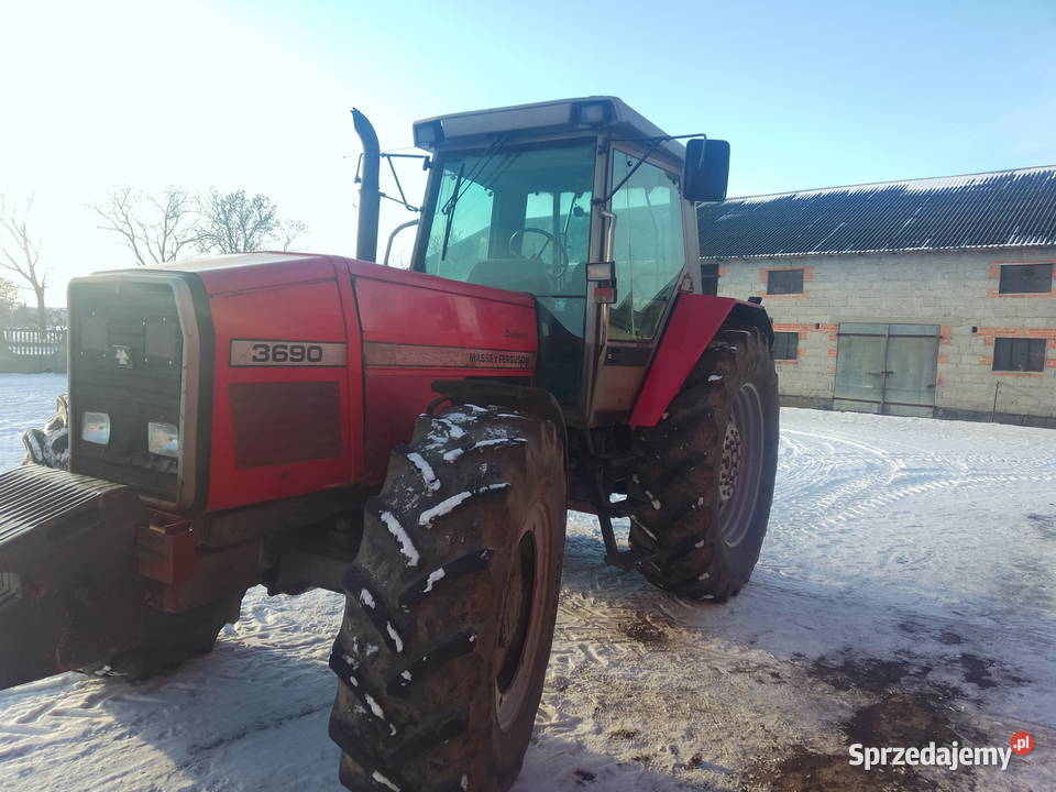 Massey Ferguson 3690 Massey Ferguson Grabów