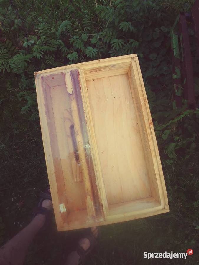 Ule wielkopolskie Brzozów