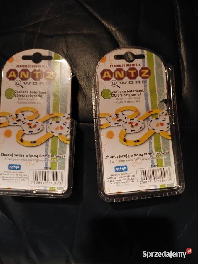 Mrówka ANTZ Work 3 dolnośląskie Wrocław
