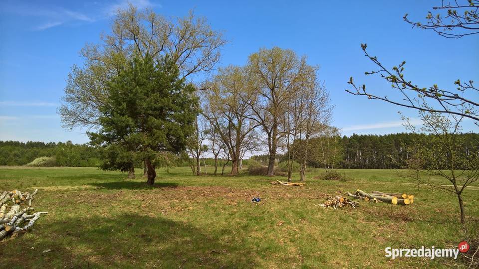 Okazja działka budowlana Gronów gmina Dąbie 80m lubuskie