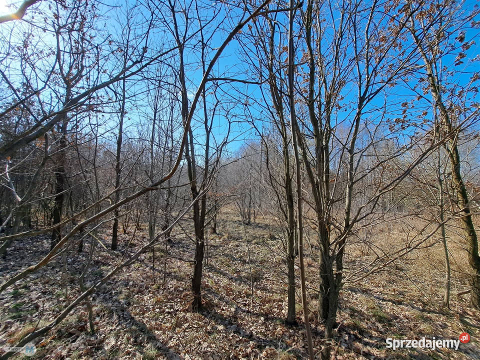 Działka na sprzedaż 5974m2 Łagów