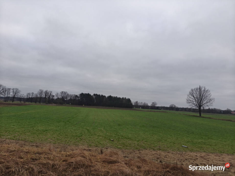 Sprzedam działki budowlane Bindużka