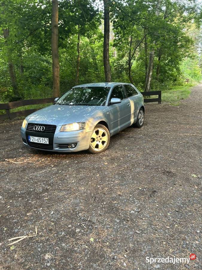 Audi a3 8p 19 tdi BKC 105 105KM Świebodzin