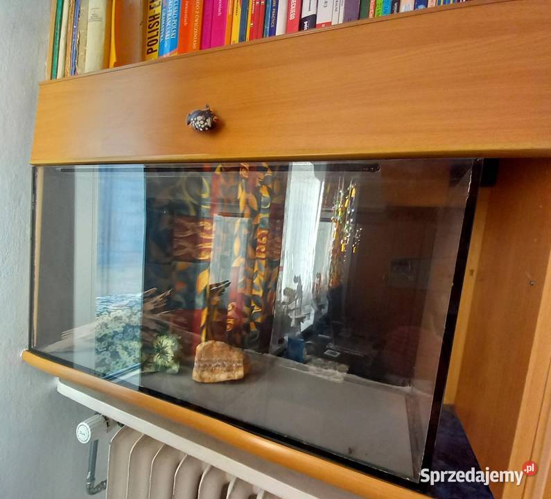 Sprzedam Akwarium Terrarium 100L Kraków sprzedam