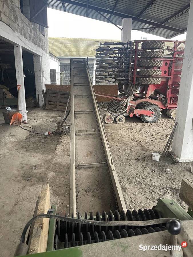 Sortownik ziemniaków Amazone BK 3 Parczew