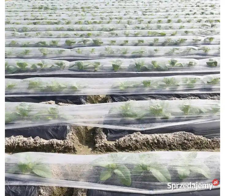 Agrowłóknina POLSKA Włóknina okryciowa 425m Cieśle