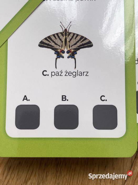 Magiczny Quiz Zwierzęta Aksjomat książeczka małopolskie Kraków