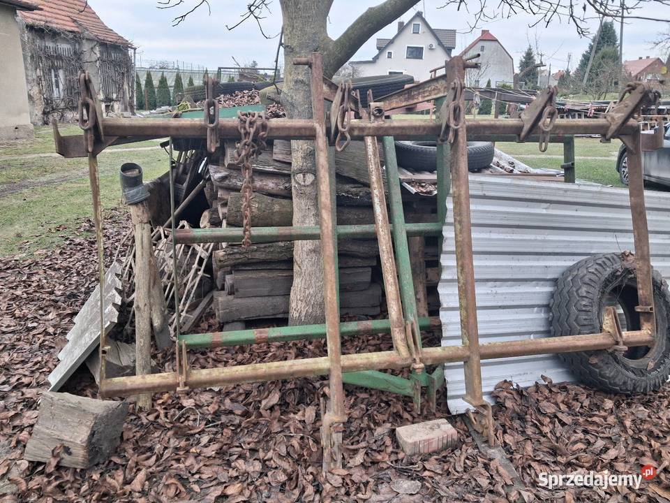 Ząb kultywatora Miękinia