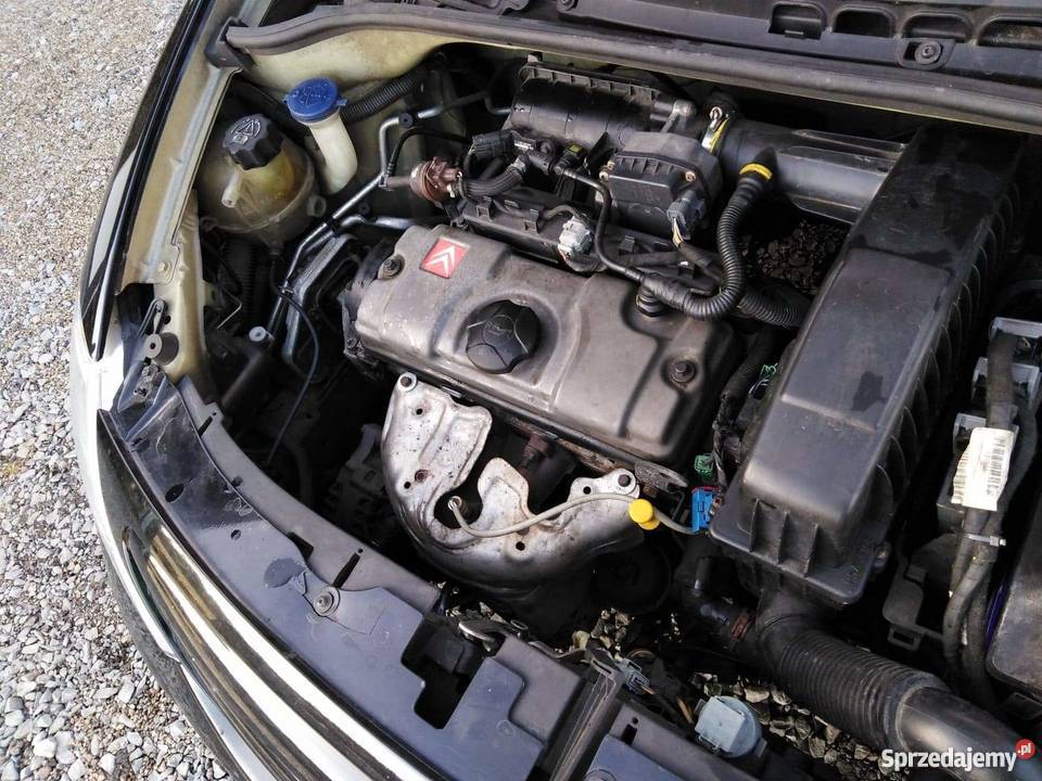 Citroen C3 Exclusive Klima panoramiczny Rok produkcji 2005 Blizne