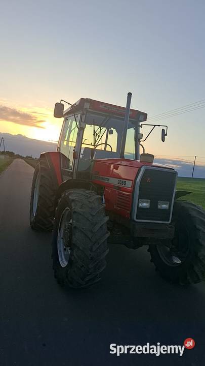 Massey Ferguson 3080 kujawsko-pomorskie Kikół sprzedam