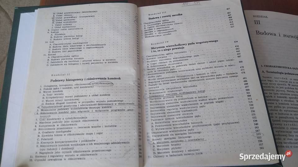 Anatomia i histogeneza roślin naczyniowych 12 pomorskie Gdańsk